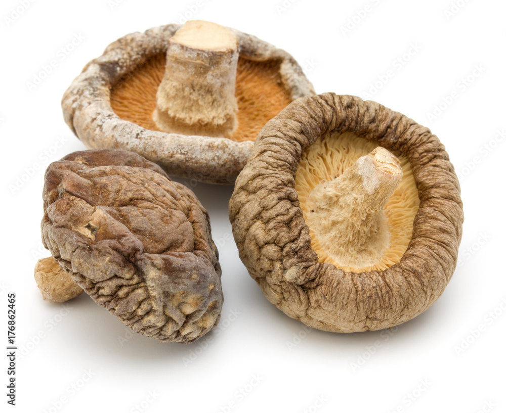 Dried Shiitake Mushroom isolated on white background Dried Shiitake Mushroom isolated on white background