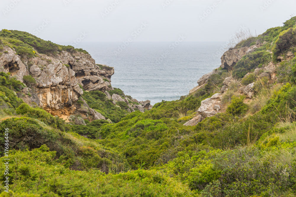 Vegetation, cliffs and ocean in Cabo de Sao Vicente