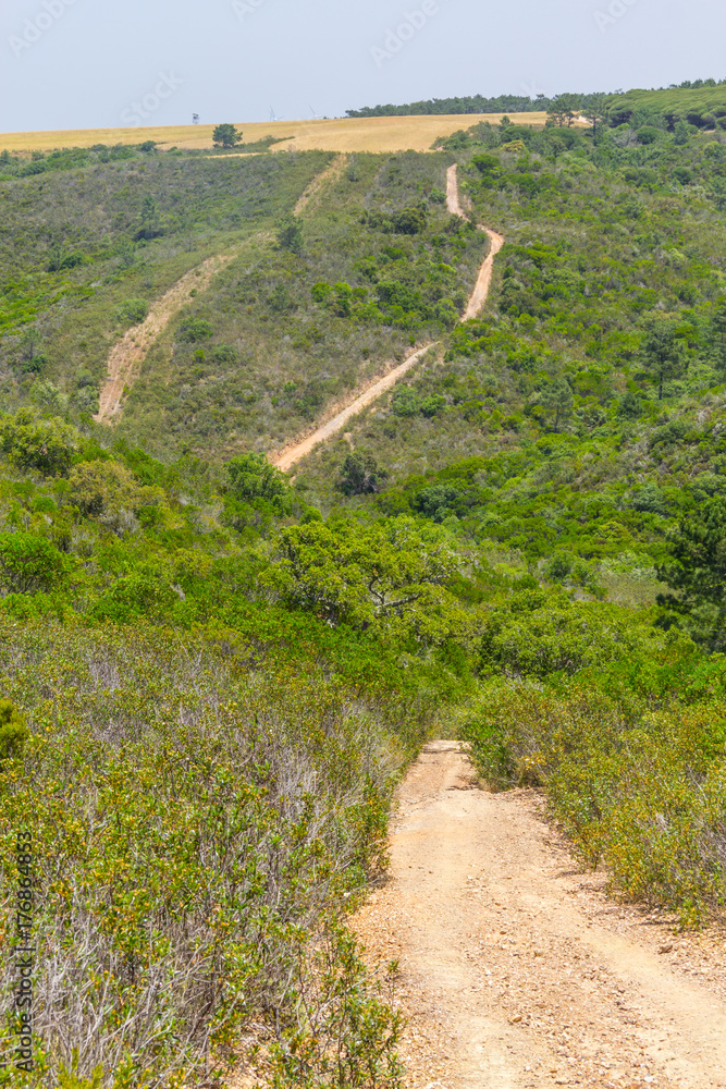 Trail in mountains and vegetation in Aljezur