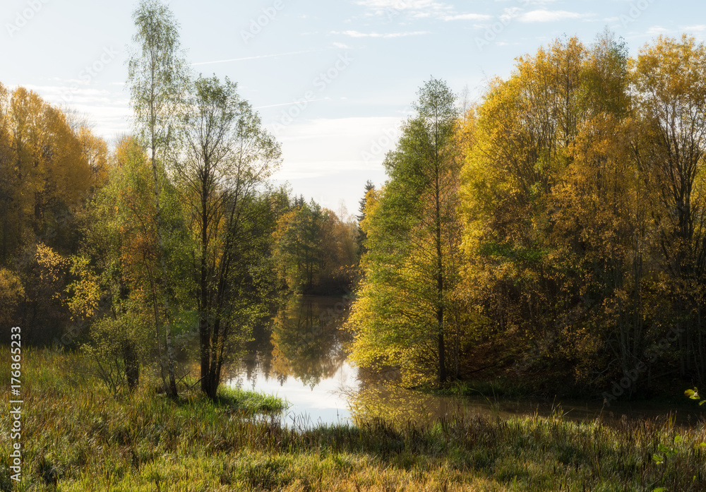 Swedish natural salmon area in autumn. Farnebofjarden national park.