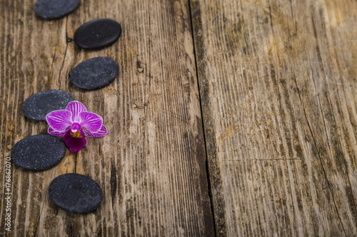Spa stones and orchid close-up.