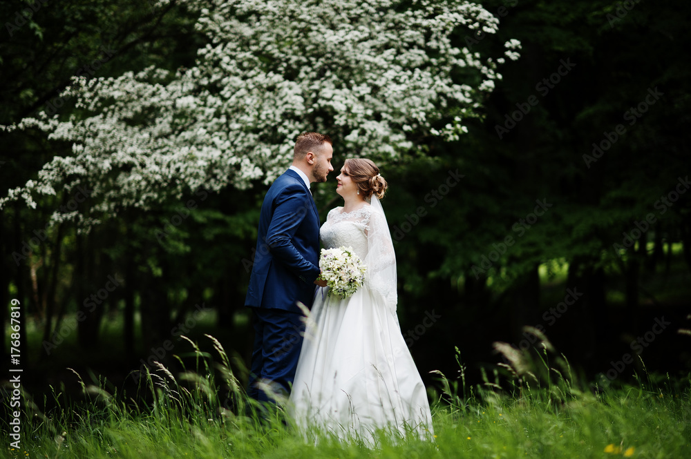 Stunning wedding couple enjoying each other's company in park with blossoming trees on the background. Stunning wedding couple enjoying each other's company in park with blossoming trees on the background.