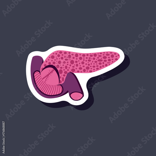 duodenum and pancreas paper sticker on stylish background