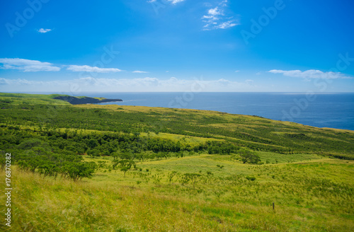 Beautiful landscape of South Maui, Island of Hawaii © Alexander Demyanenko