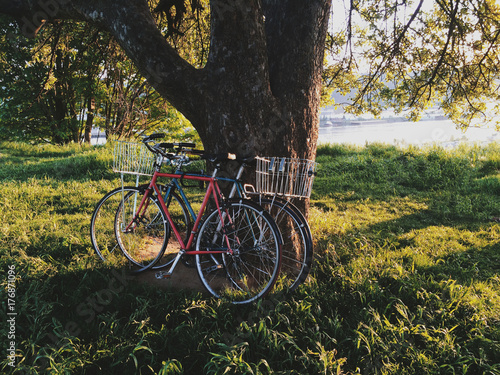 Pair of bicycles against a tree at Skidmore Bluffs photo