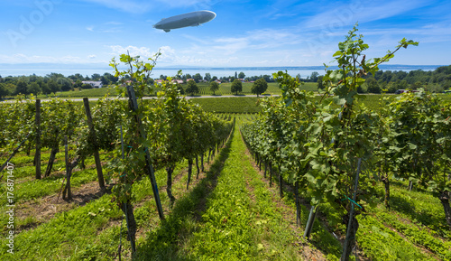 A zeppelin and vineyards near Immenstaad at Lake Constance - Immenstaad, Lake Constance, Baden-Wuerttemberg, Germany, Europe
