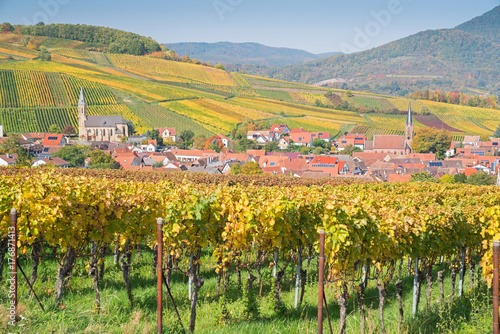 Herbst in Birkweiler an der deutschen Weinstraße