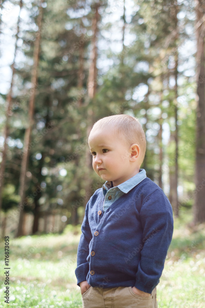 Portrait of a young gentleman Portrait of a young gentleman