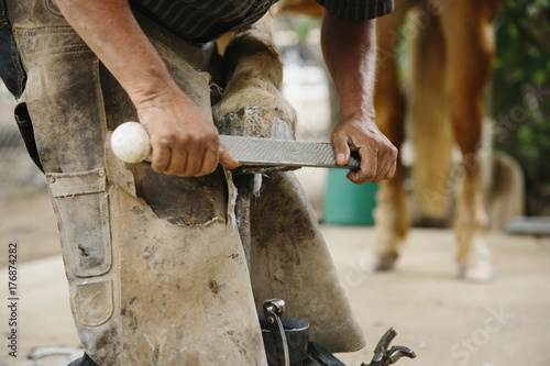 A farrier filing a horse nail photo