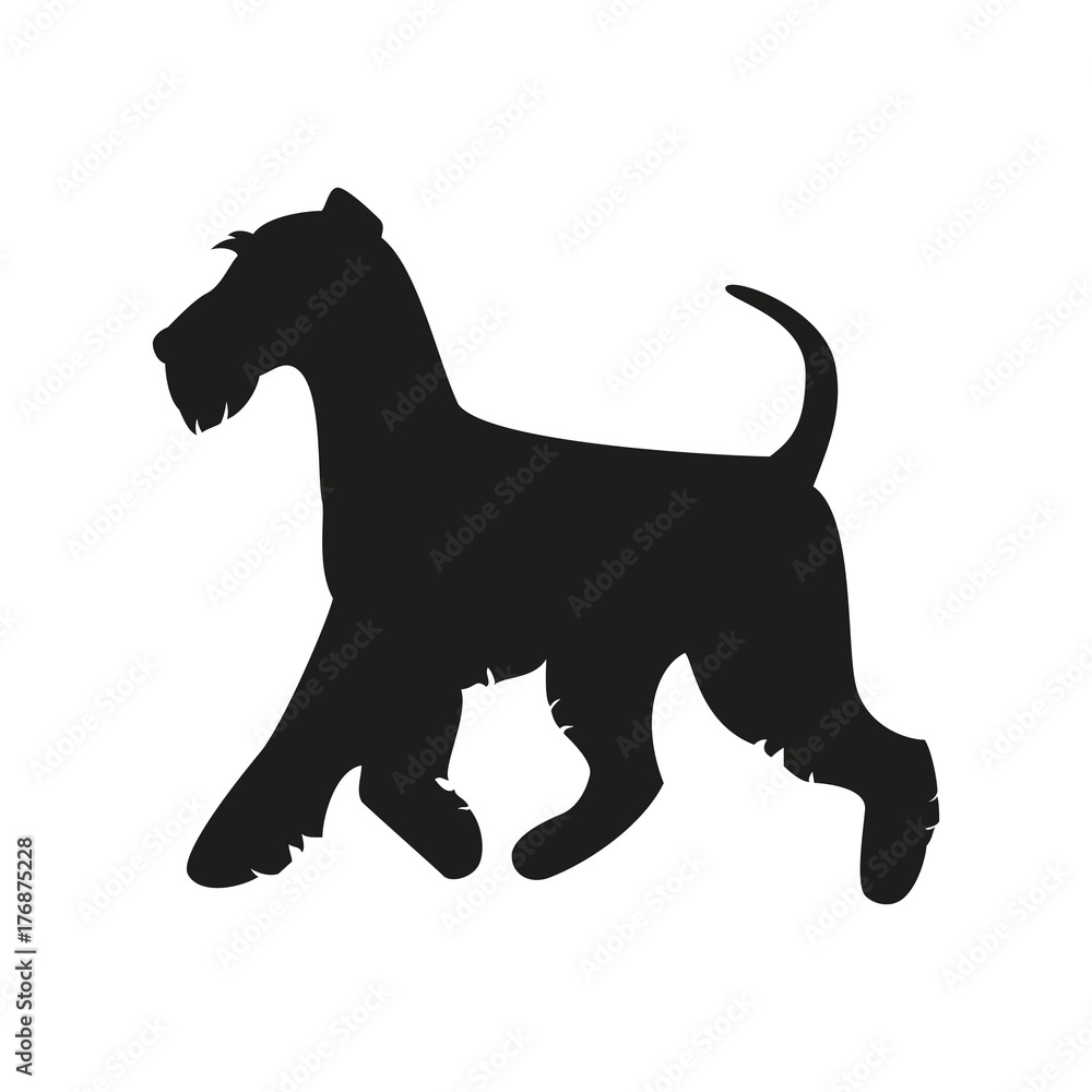 Silhouette of the terrier on the white background. Silhouette of the terrier on the white background.