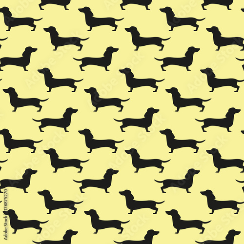  Silhouette of the dachshund on the yellow background.