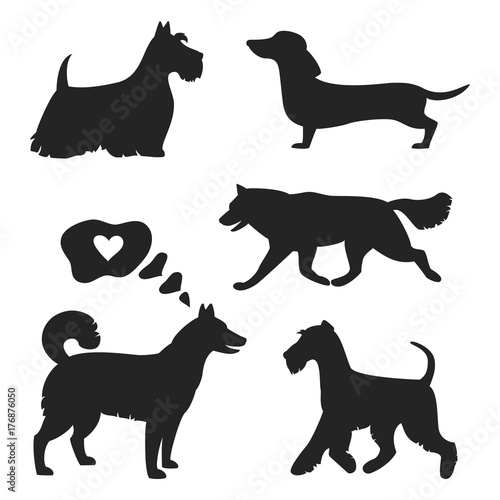  Set of dog silhouettes on the white background.
