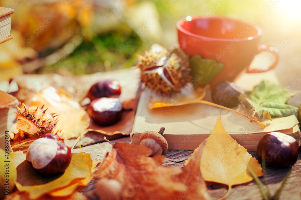 Autumn concept, fallen leaves and chestnuts Autumn concept, fallen leaves and chestnuts