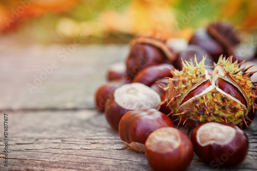 Chestnuts on wooden board,autumn fruit