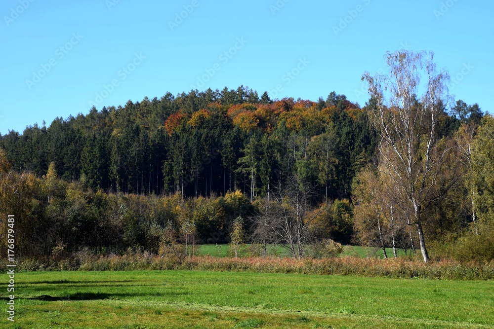 Malerische Idylle im Herbst mit verfärbten Blätter, blauen Himmel und Mischwald in einem Moorgebiet in Bayern Malerische Idylle im Herbst mit verfärbten Blätter, blauen Himmel und Mischwald in einem Moorgebiet in Bayern