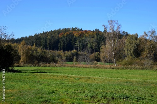 Malerische Idylle im Herbst mit verfärbten Blätter, blauen Himmel und Mischwald in einem Moorgebiet in Bayern