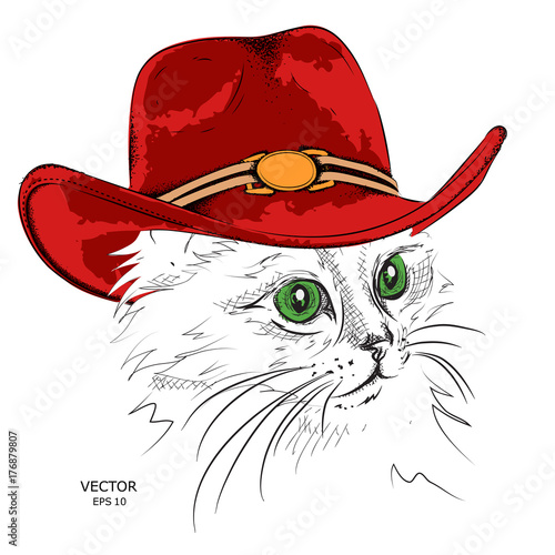 cat in a cowboy hat. vector illustration