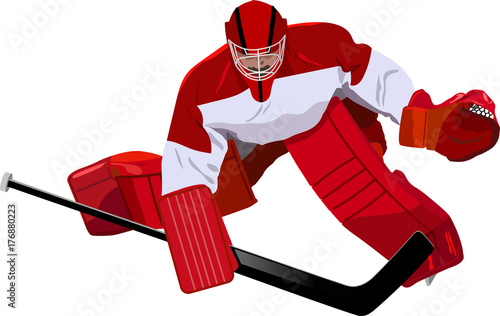 Hockey goalkeeper in the game