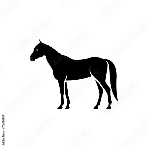 Vector horse silhouette view side for retro logos  emblems  badges  labels template vintage design element. Isolated on white background