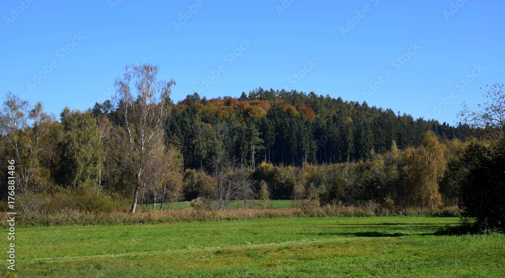 Malerische Idylle im Herbst mit verfärbten Blätter, blauen Himmel und Mischwald in einem Moorgebiet in Bayern