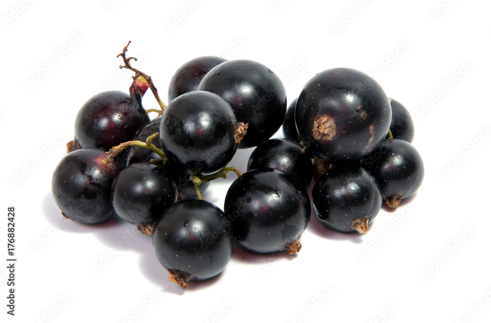 Black Currant Berries. Bunch of black currant fruits with leaf isolated on white background