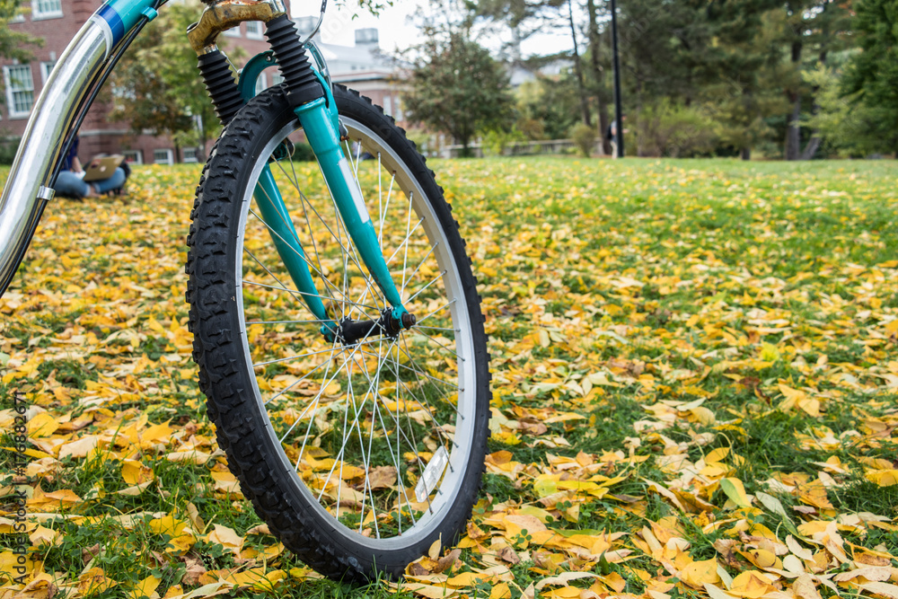 Close up of a front wheel of a bicycle with beautiful fall foliage Close up of a front wheel of a bicycle with beautiful fall foliage