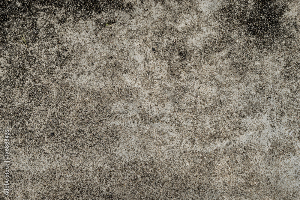 Fototapeta premium Dirty black dirt fungus on concrete floor texture background