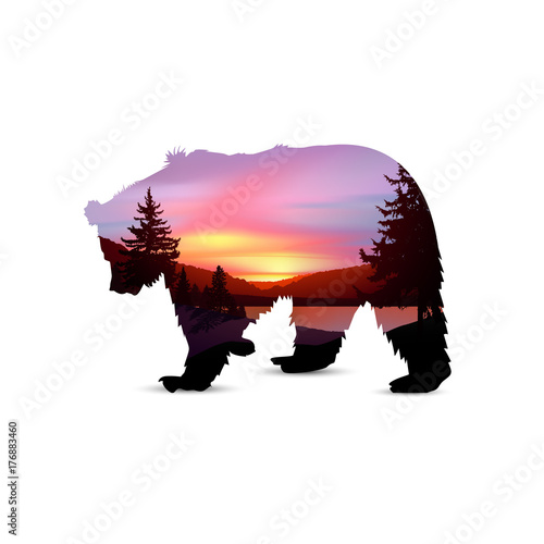 Silhouette of brown  bear with northern lights in wild terrain with lake (river) and pine forest.