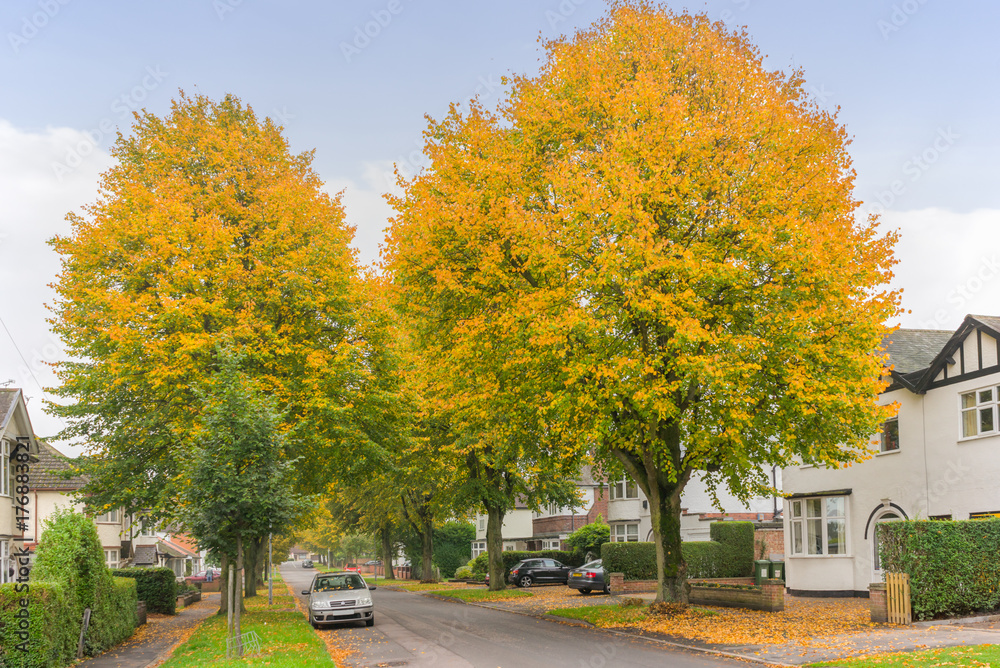 Autumn time in a busy city surrounded by lush foliage Autumn time in a busy city surrounded by lush foliage