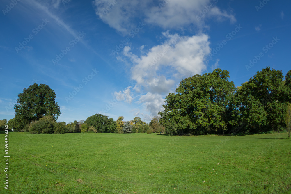 Autumn time in a park surrounded by lush foliage in the countryside, Daytime, UK. Autumn time in a park surrounded by lush foliage in the countryside, Daytime, UK.