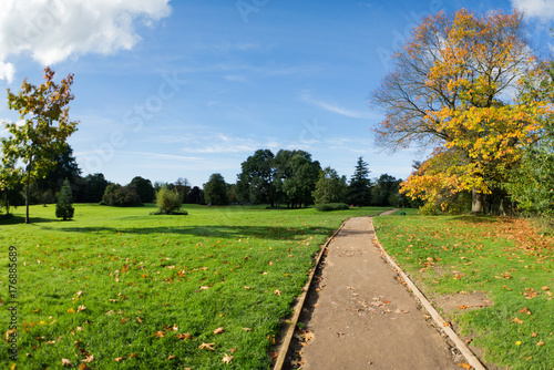 Autumn time in a park surrounded by lush foliage in the countryside, Daytime, UK.