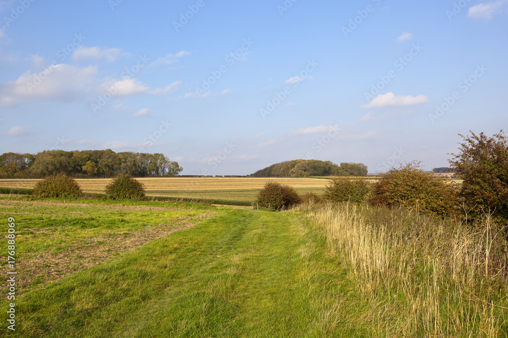 Fototapeta premium autumn bridleway
