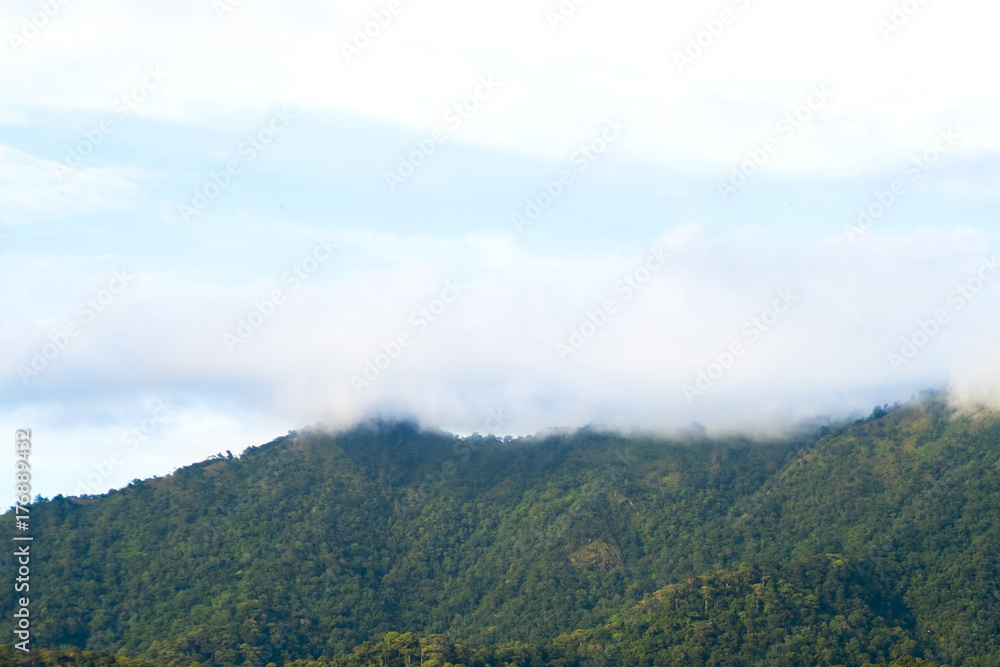 View from below, Looking to beautiful green mountain covered with white mist on the top and yellow light with blue sky and some clouds, After the rain at sunset. North of Thailand.