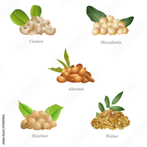 Five batches of nuts with their leaves. Part one / There are cashew, macadamia, almonds and hazelnut, and walnut in the batches
