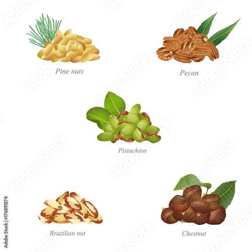 Five batches of nuts with their leaves. Part two / There are pine nuts, pecan, pistachios, Brazilian nuts and chestnut in the batches
