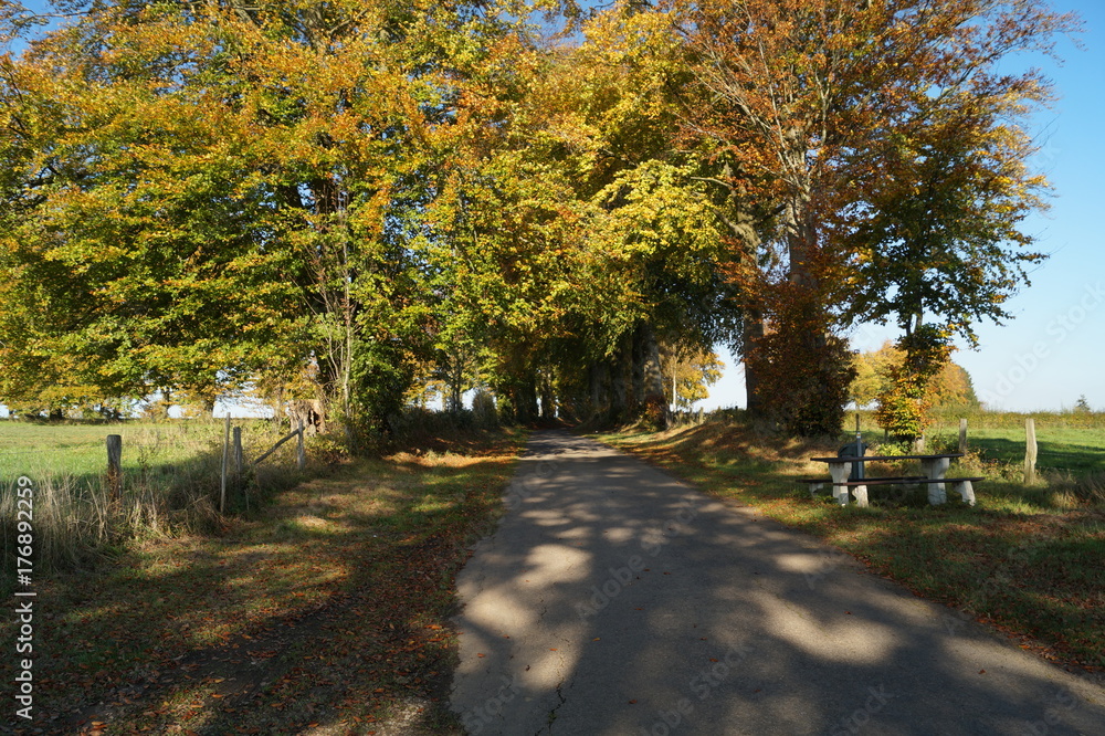 Naklejka premium Route de campagne