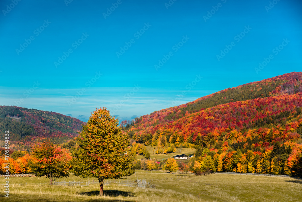 View at forest of South Silesia View at forest of South Silesia