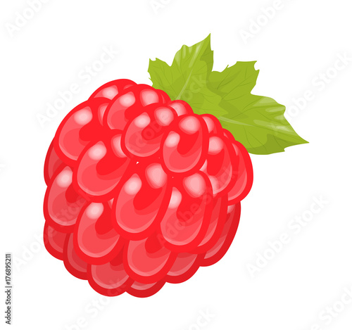 Isolated red raspberry.