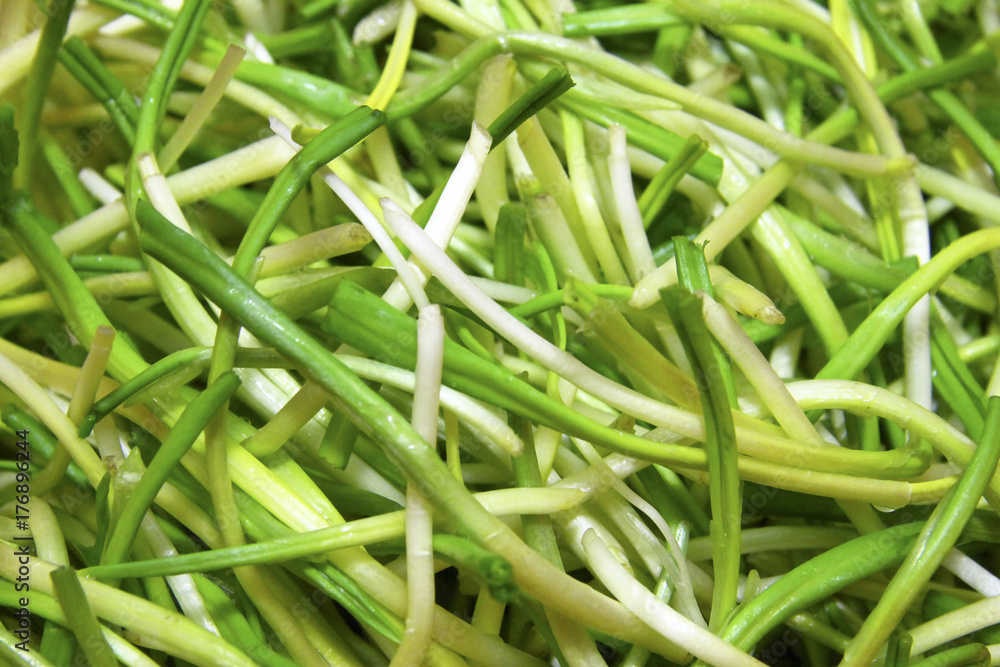 Fresh harvest of spring ramson or wild leek stems Fresh harvest of spring ramson or wild leek stems