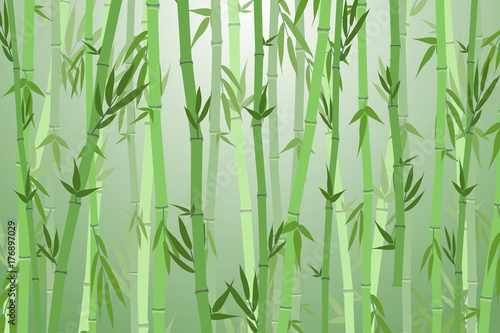 Cartoon Bamboo Forest Landscape Background. Vector © bigmouse108