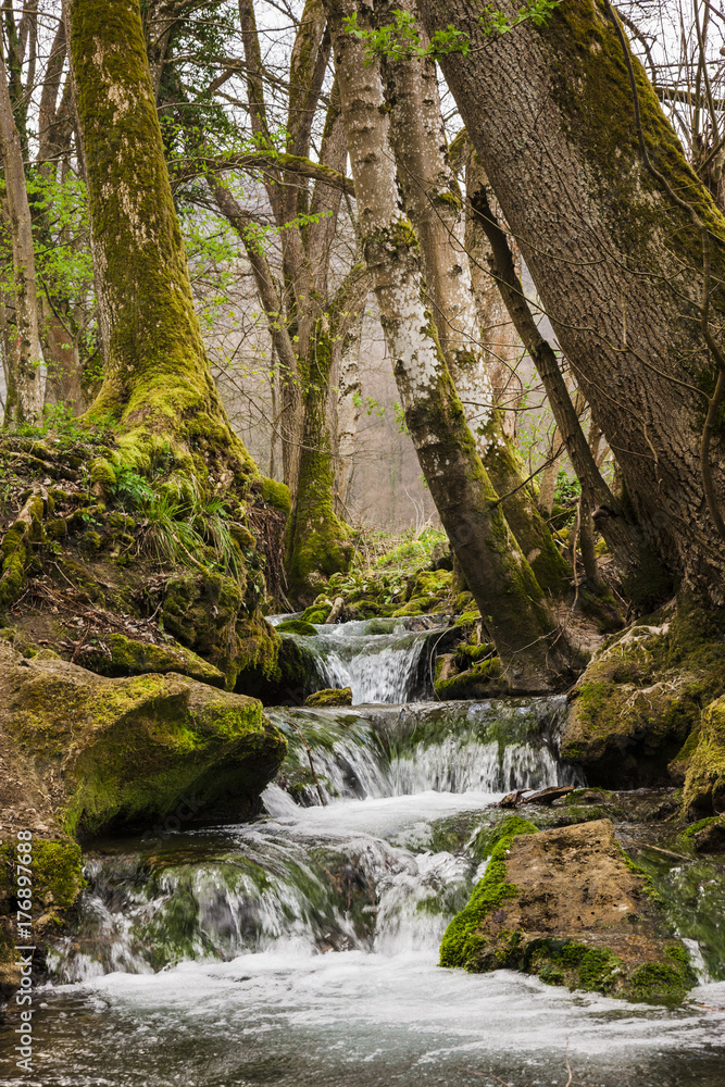 Fototapeta premium Wasserfall zwischen Bäumen