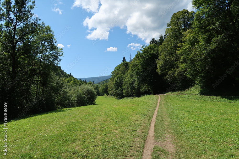 Paysage de montagne en Savoie