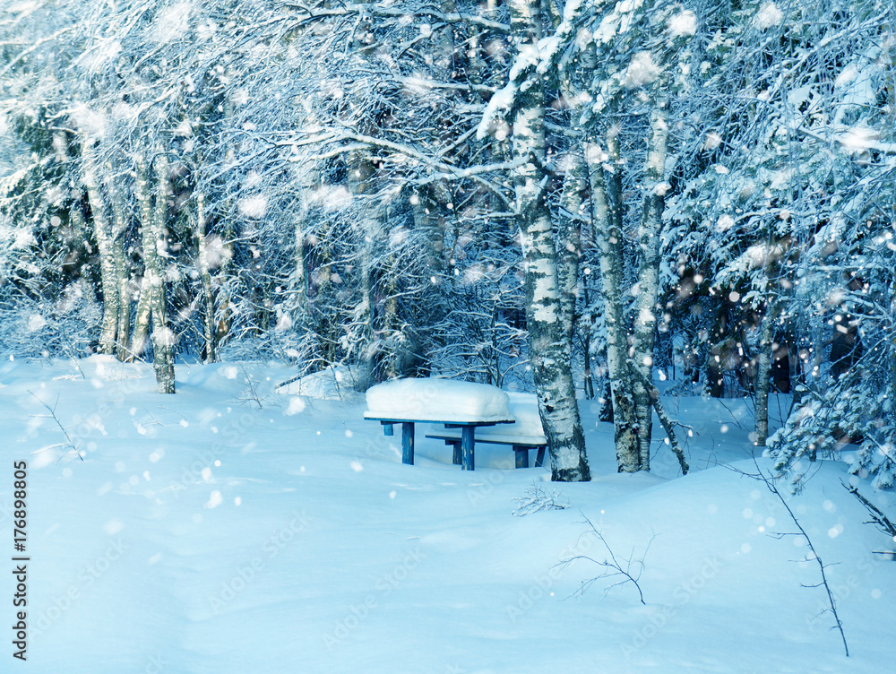Winter landscape, bench in snowy park