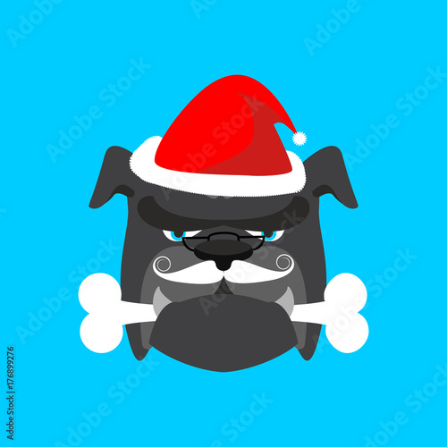 Santa dog and bone. Christmas home pet. Xmas and new year vector illustration
