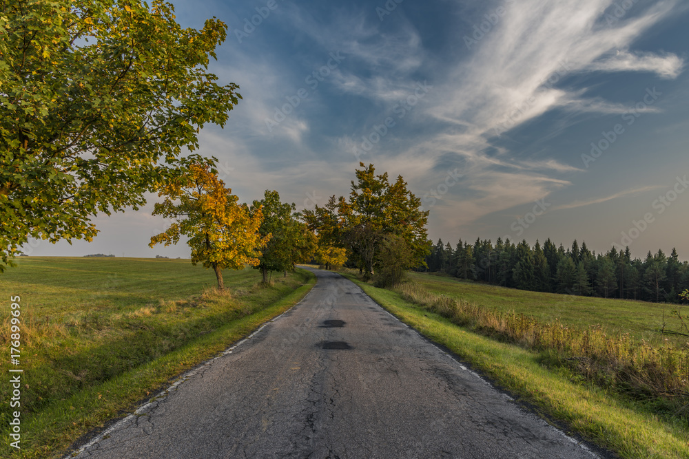 Evening with road in Slavkovsky les national park