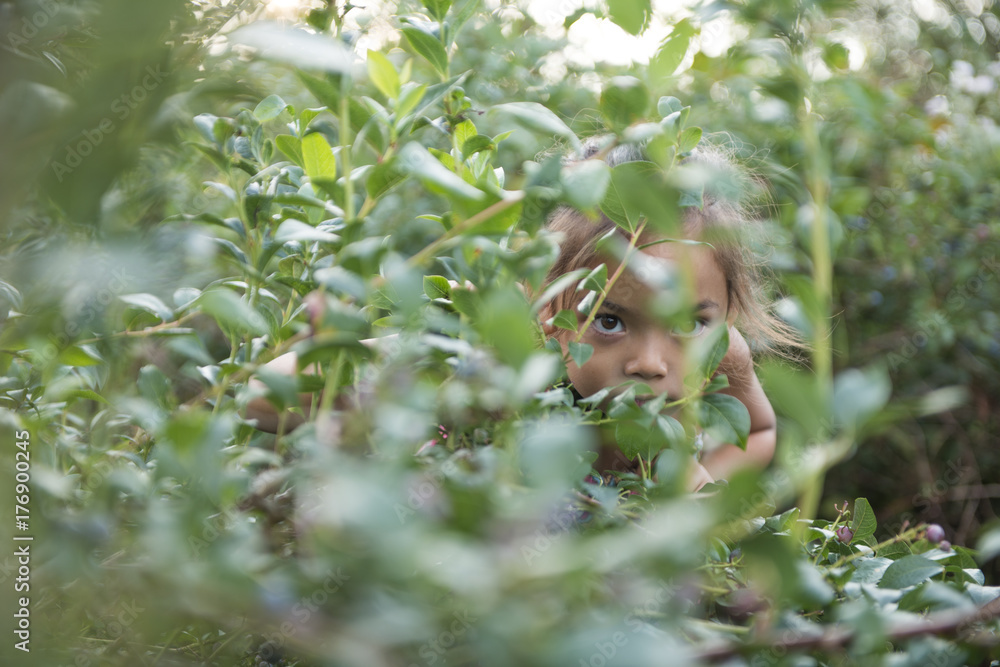 Girl Hiding In A Bush Girl Hiding In A Bush
