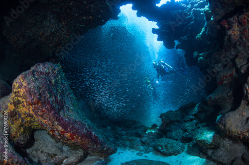 Photography Diver and School of Fish in Dark, Underwater Cave