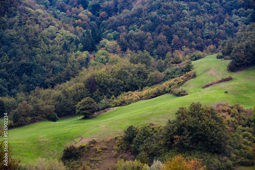 panorama colla di casaglia