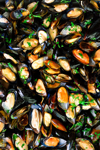 Mussels on stone concrete background. Top view  copy space