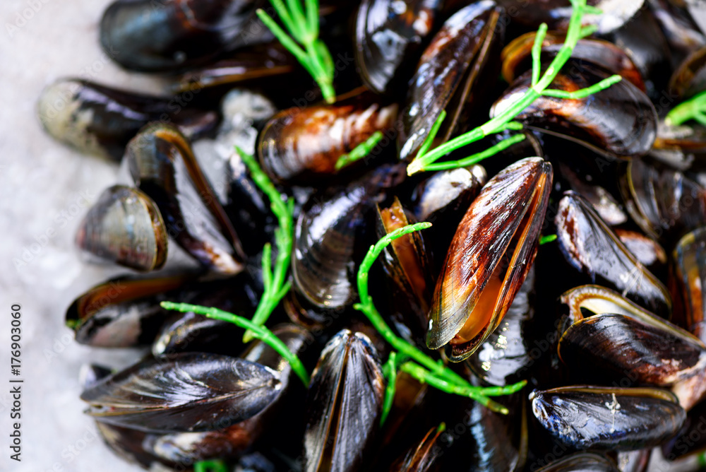 Boiled mussels with seaweed, sea plants on white stone concrete background. Top view, copy space. Boiled mussels with seaweed, sea plants on white stone concrete background. Top view, copy space.